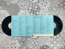 Load image into Gallery viewer, "Ram Dass" Double Vinyl (2019)